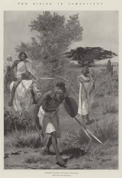 El levantamiento en Somalilandia